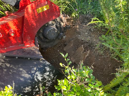 Stump grinding in the garden bed surrounded by plants