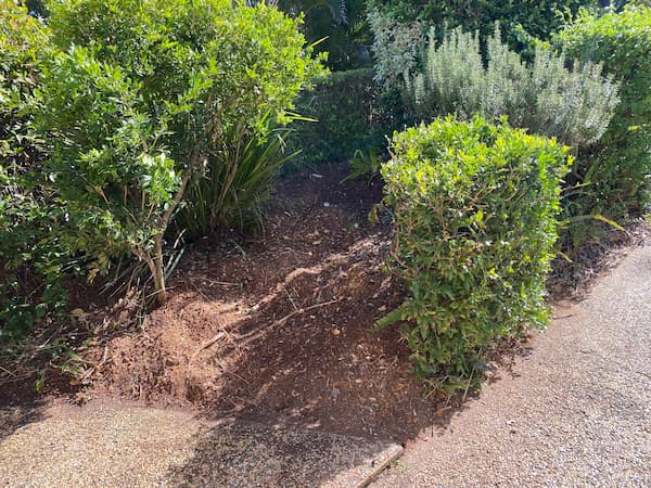 No hole left after stump removal from garden